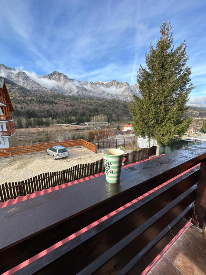 Casa Rares Буштени Экстерьер фото